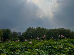 -太阳宫公园