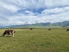 -新疆那拉提国家旅游度假区