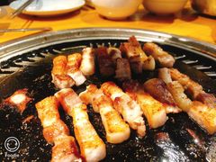 -唯成•韩国炭火烤肉 유성고기