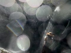-莫里热带雨林景区