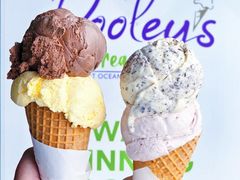 -Dooley's Premium Ice Cream