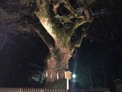 -热田神宫