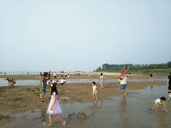 -古柏渡飞黄旅游区