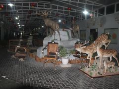 -北京鹿世界主题园
