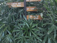 -中家鑫园温泉酒店鑫悦汤泉