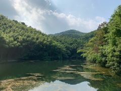 -宁波九龙湖开元度假村
