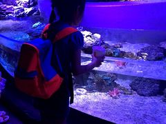 -成都浩海立方海洋公园