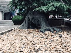-侵华日军南京大屠杀遇难同胞纪念馆