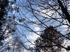 -苏州河梦清园环保主题公园