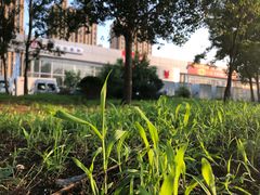 -启工街(地铁站)