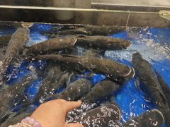 -高佳庄·舟山海鲜(海景旗舰店)