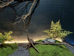 -澜韵·尊享柔式SPA(磐基店)