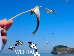 -海驴岛(荣成市)