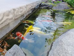 -罗红摄影艺术馆