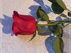 -IL Forno 意坊·意大利餐厅(花园店)