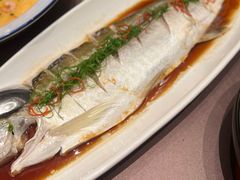 -同庆楼(天鹅湖万达店)