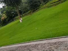 -龙头寺公园