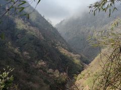 -碧峰峡风景区
