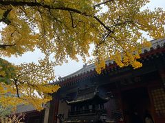 -红螺寺