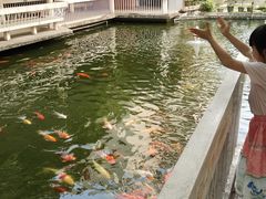 -东莞宾馆(莞城店)