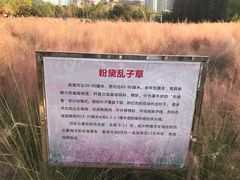 -艾溪湖湿地公园