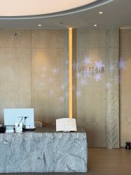 -VELEE·SPA高定疗愈会所