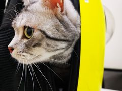 -美联众合动物医院·24h转诊中心