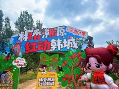 -韩城古城