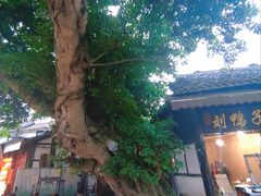-平乐古镇