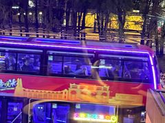 -花马天堂云南餐厅 Lost Heaven(外滩店)