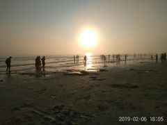 -红树林天天赶海