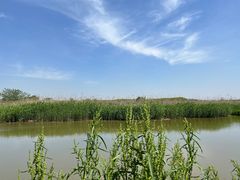-同里国家湿地公园
