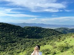 -大姆山草场