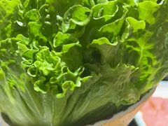 -鹤之乡·齐齐哈尔烤肉·非遗(秋涛路店)