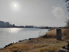 -江心屿景区