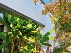 -广富林郊野公园