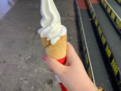 -蜜雪冰城(托乐嘉店)