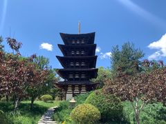 -北京世界公园