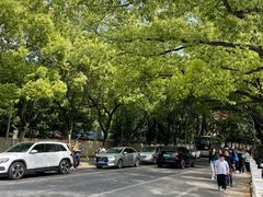 -上海佘山国家森林公园西佘山园