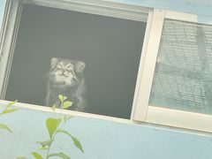 -青藏高原野生动物园
