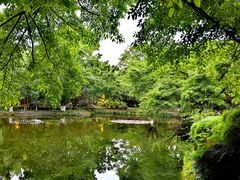 -望江楼公园