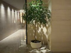 -汤泉良子·颂钵疗愈·SPA(珠江新城店)