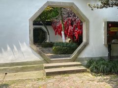 -杭州黄龙洞