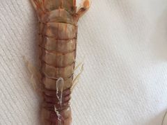 -赶海部落海鲜城(海阳路店)