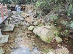 -南海湾森林生态园