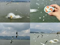 -昆明冠生园·蛋糕·面包(南强街店)