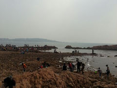android_upload_pic-八大关景区