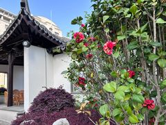 -青果巷历史文化街区