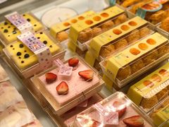 -蒲公英(五里店)