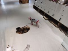 -藏猫猫咖啡主题馆(中央大道店)